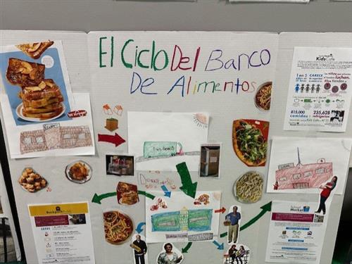 1st Grade IB Project
